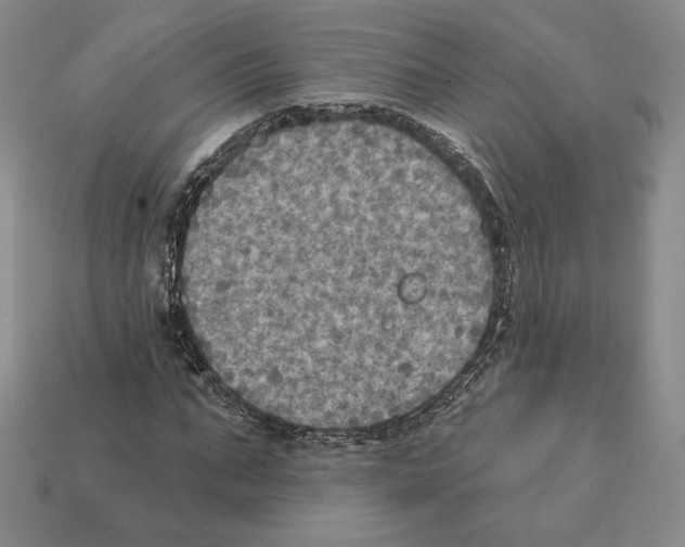 X0000112030871200909141054