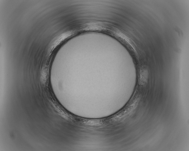 X0000112030874200909141054