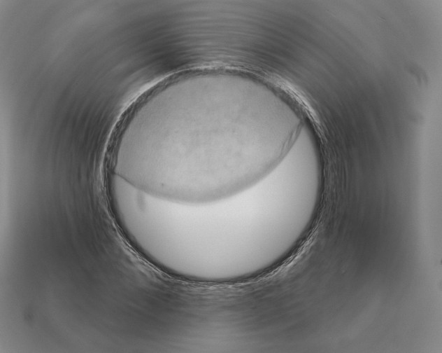 X0000112030876200909141054