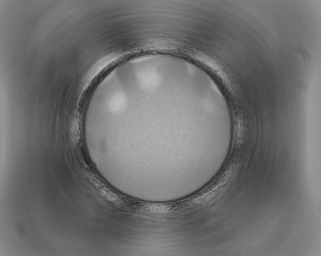 X0000112030878200909141054