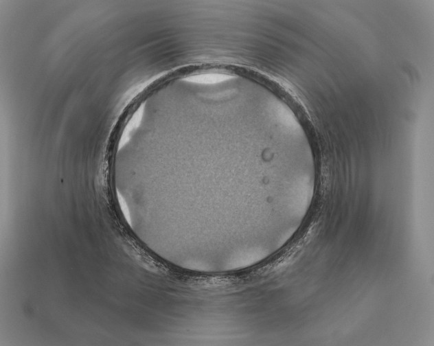 X0000112030879200909141054