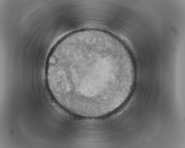 X0000112030880200909141054
