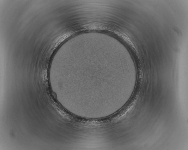 X0000112030881200909141054