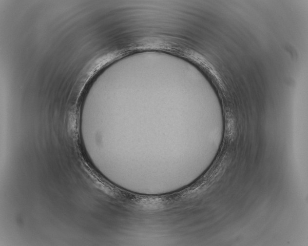 X0000112030882200909141054
