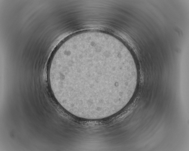 X0000112030883200909141054