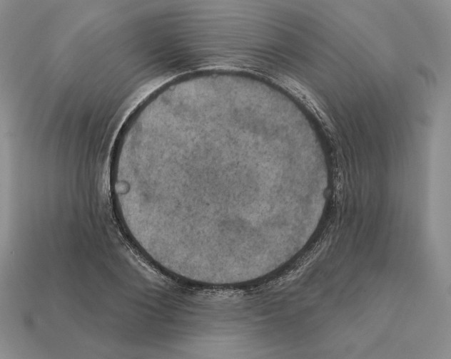 X0000112030884200909141054