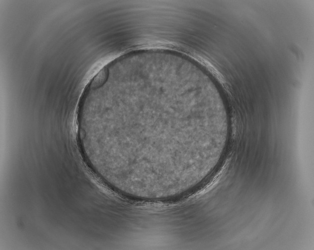 X0000112030885200909141054