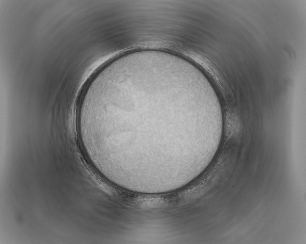 X0000112030886200909141054