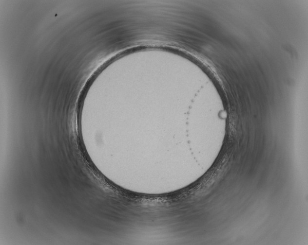 X0000112030887200909141054