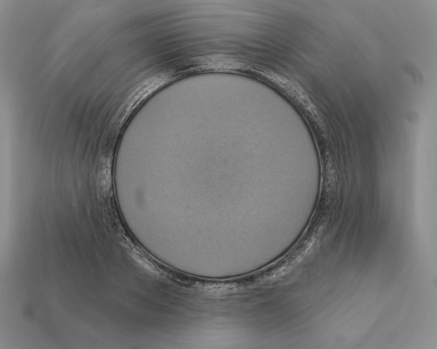 X0000112030889200909141054