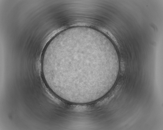 X0000112030890200909141054