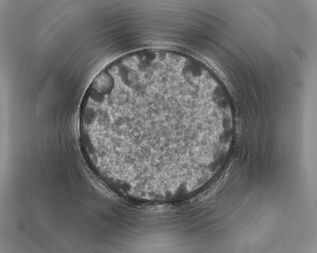X0000112030891200909141054