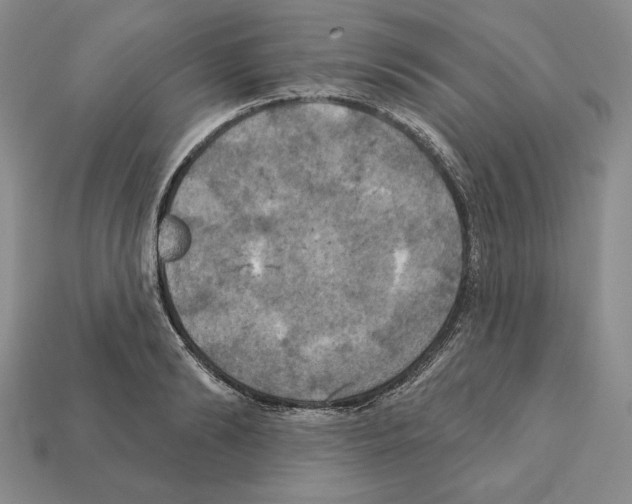 X0000112030894200909141054
