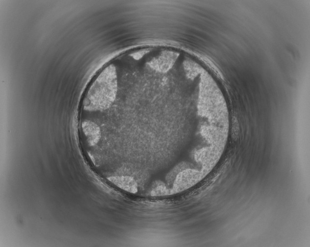 X0000112030895200909141054