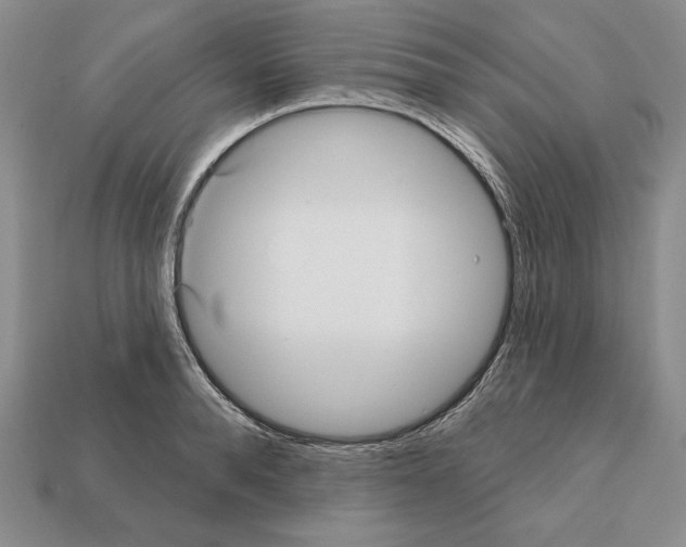 X0000112030896200909141054