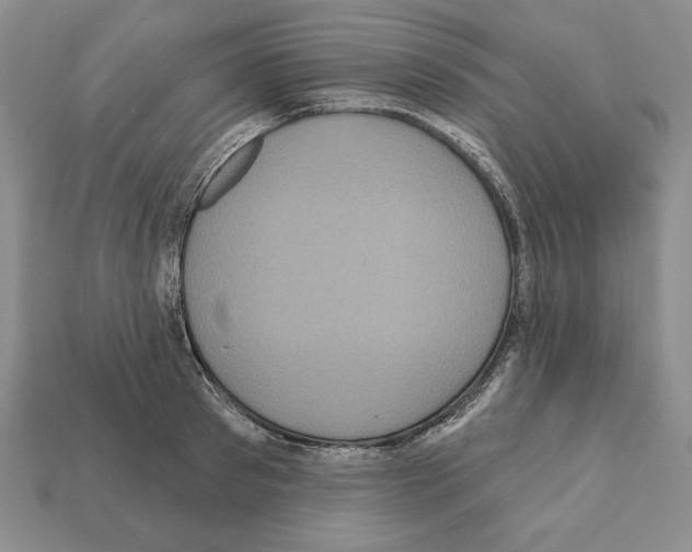 X0000112030897200909141054