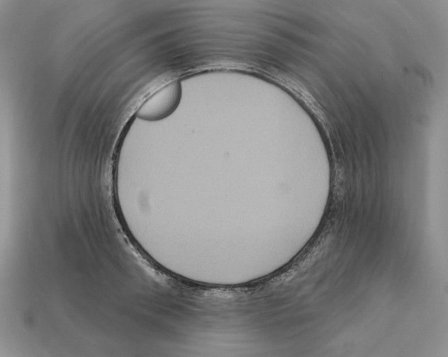 X0000112030898200909141054
