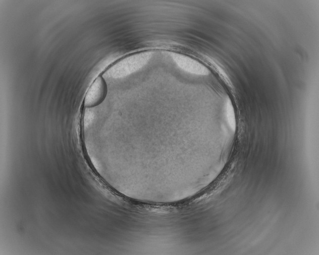 X0000112030899200909141054
