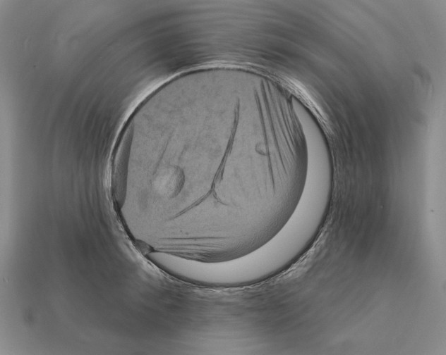 X0000112030900200909141054