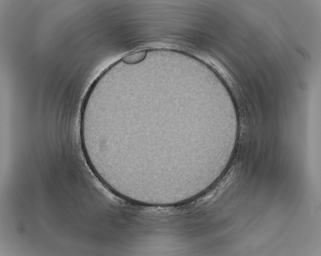 X0000112030902200909141054