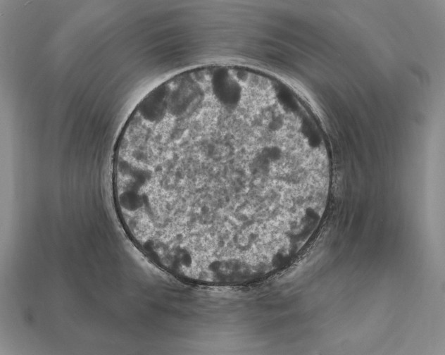 X0000112030903200909141054