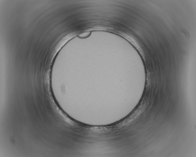 X0000112030906200909141054