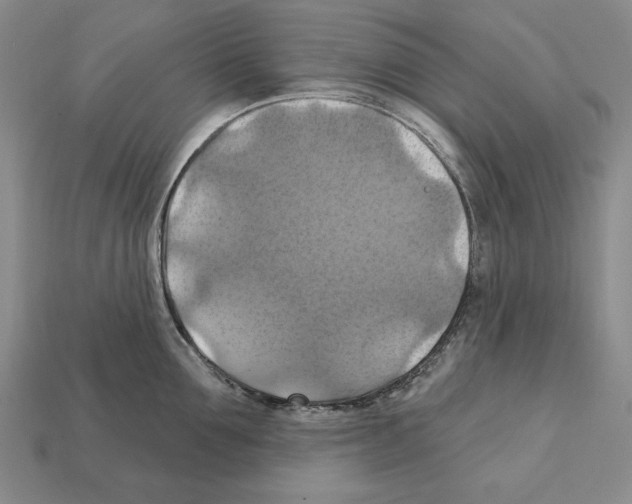 X0000112030907200909141054