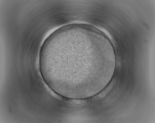 X0000112030910200909141054