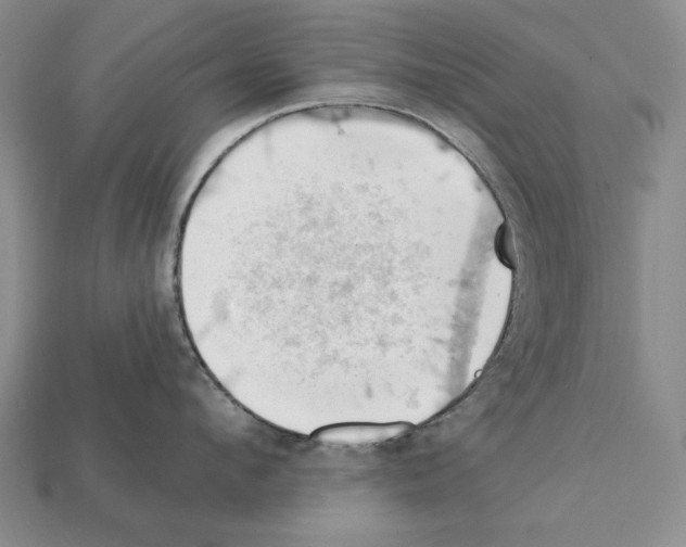X0000112030912200909141054