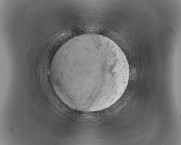 X0000112030913200909141053