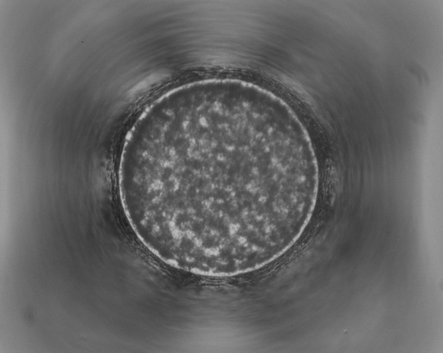X0000112030918200909141053
