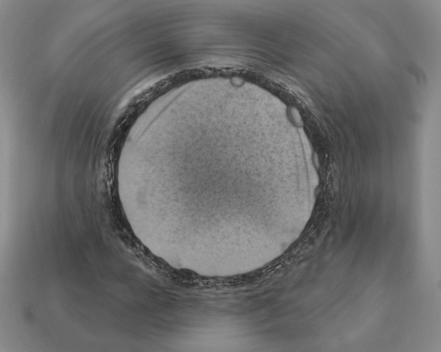 X0000112030920200909141053