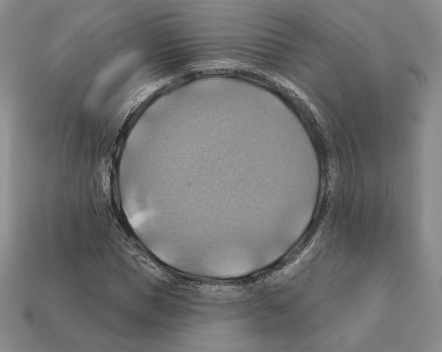 X0000112030921200909141053