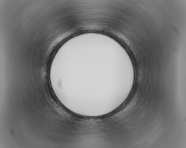 X0000112030922200909141053