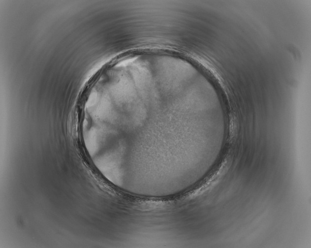 X0000112030925200909141053