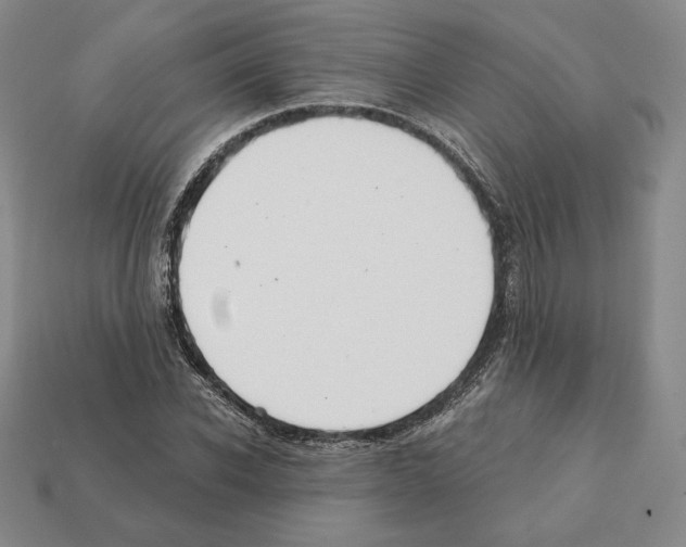 X0000112030926200909141053
