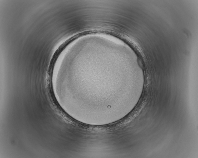X0000112030928200909141053