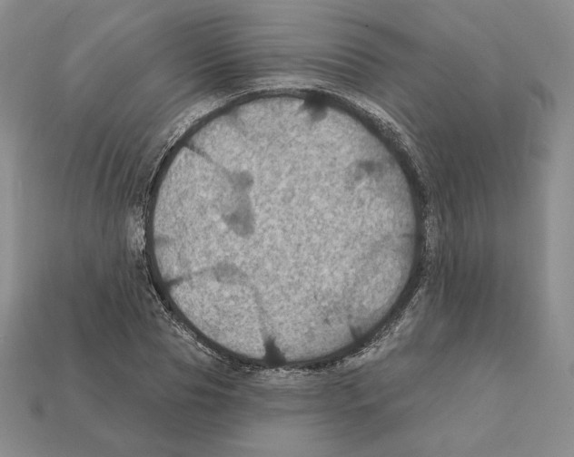 X0000112030929200909141053