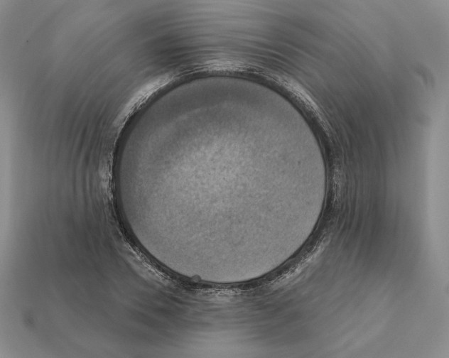 X0000112030930200909141053