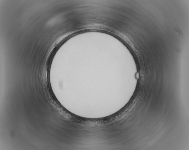 X0000112030931200909141053