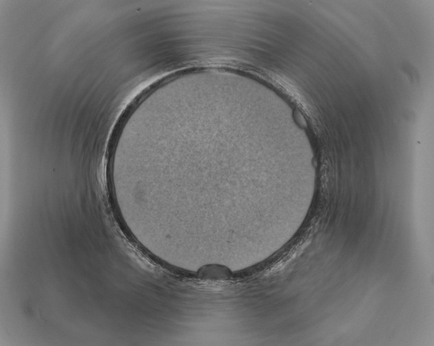 X0000112030932200909141053