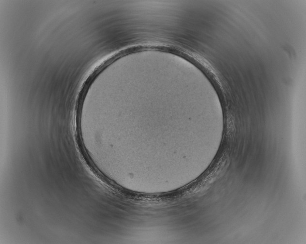 X0000112030935200909141053