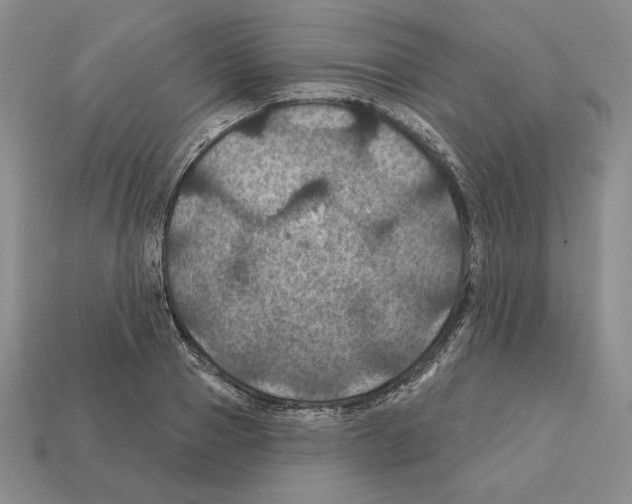 X0000112030937200909141053
