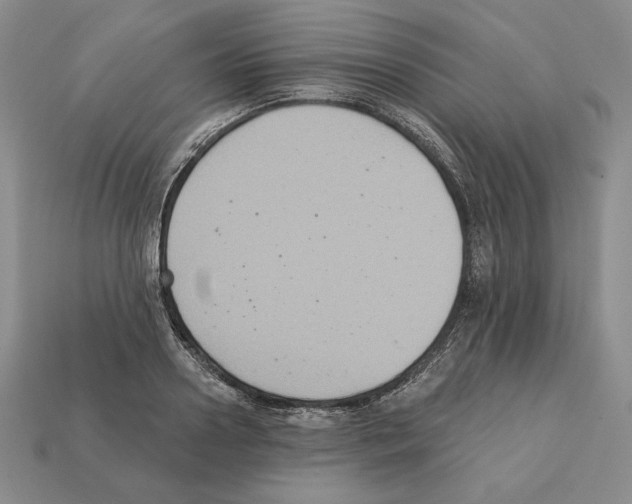 X0000112030938200909141053