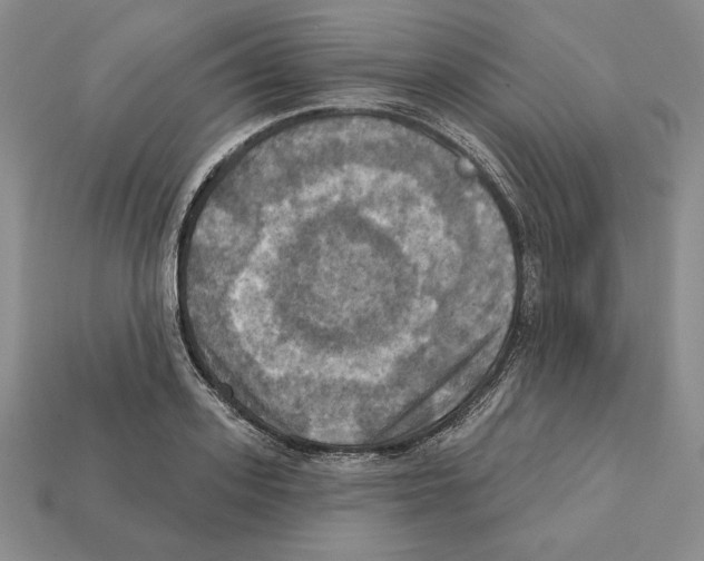 X0000112030939200909141053