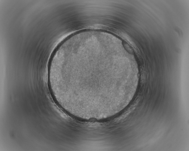 X0000112030940200909141053