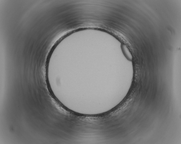 X0000112030942200909141053
