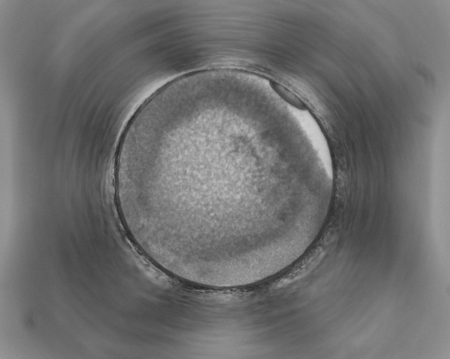 X0000112030948200909141053