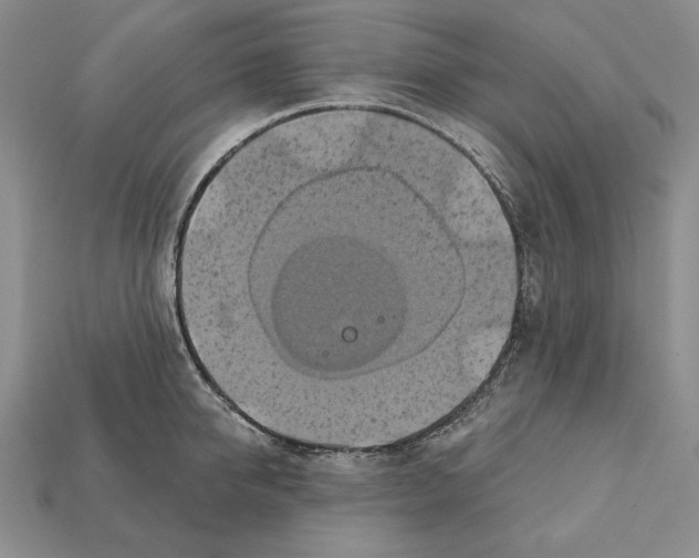 X0000112030950200909141053