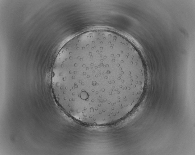 X0000112030953200909141054
